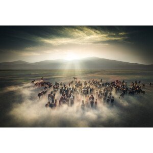 Umělecká fotografie Wild Horses, Cuma Cevik, (40 x 26.7 cm)