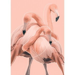 Ilustrace Flamingos nr. 1, Baard Martinussen, (30 x 40 cm)