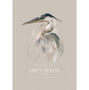 Ilustrace Grey Heron, Gabriella Roberg, (30 x 40 cm)