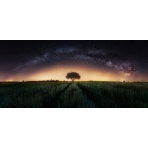 Umělecká fotografie Milky way over lonely tree, Ivan Ferrero, (50 x 23 cm)
