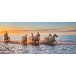 Umělecká fotografie Camargue Horses II, Antoni Figueras, (50 x 21.3 cm)