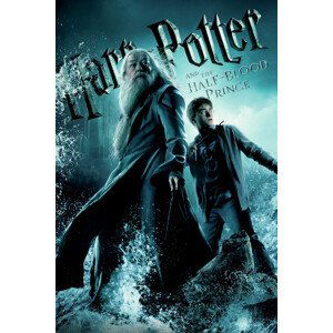 Umělecký tisk Harry Potter and The Half-Blood Prince, (26.7 x 40 cm)