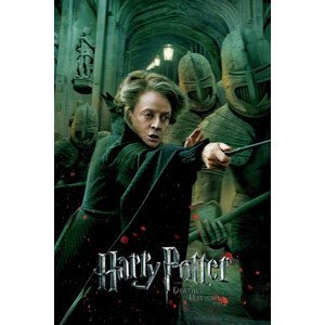 Umělecký tisk Harry Potter - Professor McGonagall, (26.7 x 40 cm)