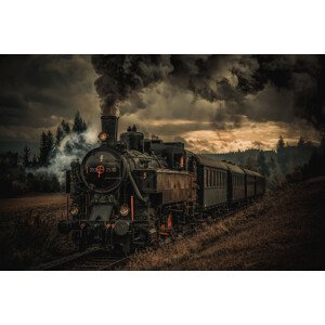 Umělecká fotografie Gold digger train, Hubert Bichler, (40 x 26.7 cm)