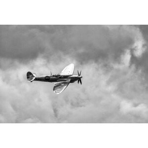 Umělecká fotografie The Silver Spitfire, Leif Londal, (40 x 26.7 cm)