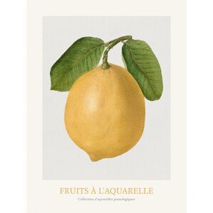 Obrazová reprodukce Lemon (Watercolour Kitchen Fruit), (30 x 40 cm)