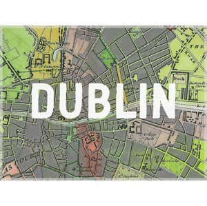 Mapa Dublin Map - Historical & Vintage Maps, (40 x 30 cm)