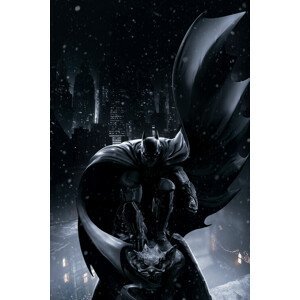 Umělecký tisk Batman Arkham Origins, (26.7 x 40 cm)