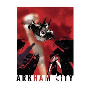 Umělecký tisk Batman Arkham City - Flight, (26.7 x 40 cm)