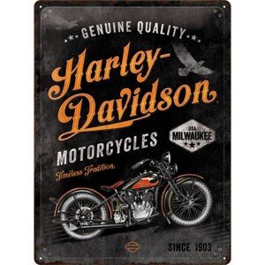 Plechová cedule Harley-Davidson - Timeless Tradition, (30 x 40 cm)