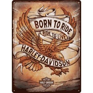Plechová cedule Harley-Davidson - Born to Ride, (30 x 40 cm)