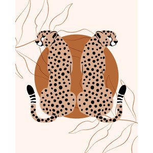 Ilustrace Cheetah, Beth Cai, (30 x 40 cm)