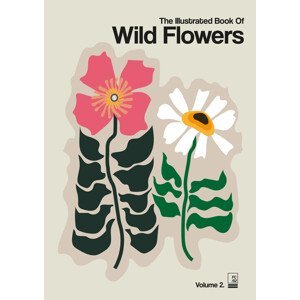 Ilustrace The Illustrated Book Of Wild Flowers Vol.2 Grey, Frances Collett, (30 x 40 cm)