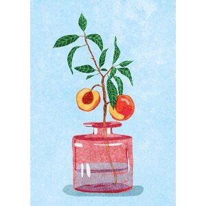 Ilustrace Peach Tree in Vase, Raissa Oltmanns, (30 x 40 cm)