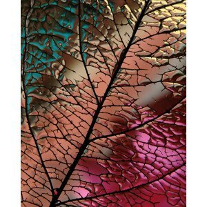 Umělecká fotografie Glass Leaf, Ivan Lesica, (30 x 40 cm)