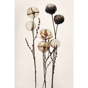 Ilustrace Glass Ball Flowers, Treechild, (26.7 x 40 cm)