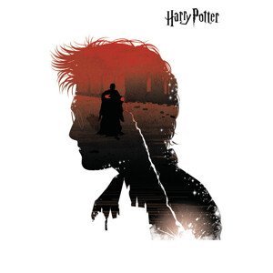 Umělecký tisk Harry Potter and Lord Voldemort, (26.7 x 40 cm)