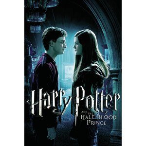 Umělecký tisk Harry Potter and The Half-Blood Prince - Ginny's Kiss, (26.7 x 40 cm)