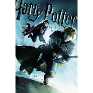 Umělecký tisk Harry Potter and The Half-Blood Prince - Quiditch, (26.7 x 40 cm)