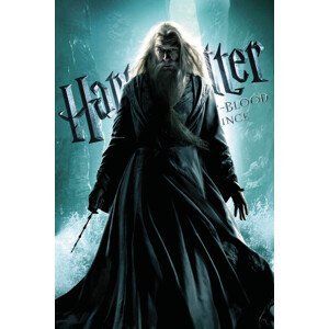 Umělecký tisk Harry Potter and The Half-Blood Prince - Dumbledore, (26.7 x 40 cm)