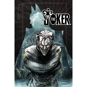 Umělecký tisk The Joker - Trapped, (26.7 x 40 cm)