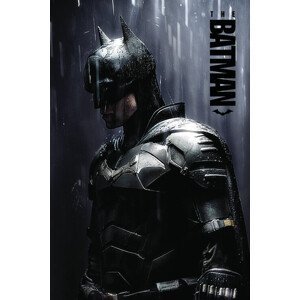 Plakát, Obraz - The Batman 2022 - Grey Rain, (61 x 91.5 cm)