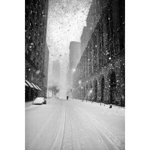 Umělecká fotografie New York Walker in Blizzard, Martin Froyda, (26.7 x 40 cm)
