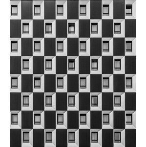 Umělecká fotografie Windows, Vienna, Taymuraz Gumerov, (35 x 40 cm)