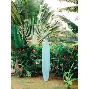 Umělecká fotografie Blue Surfboard, Raisa Zwart, (30 x 40 cm)