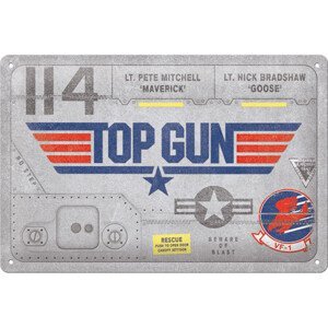 Plechová cedule Top Gun - Aircraft Metal, (30 x 20 cm)