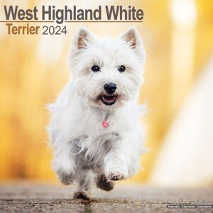 Kalendář 2024 West Highland Teriér