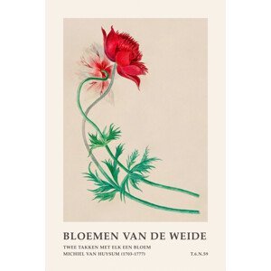Ilustrace Red Floral (Meadow Flowers) - Michiel van Huysum, (26.7 x 40 cm)