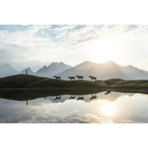 Umělecká fotografie Horses, Witold Ziomek, (40 x 26.7 cm)