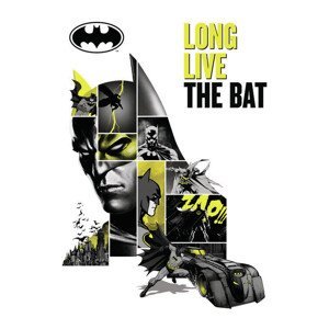 Umělecký tisk Batman - Long Live The Bat, (26.7 x 40 cm)