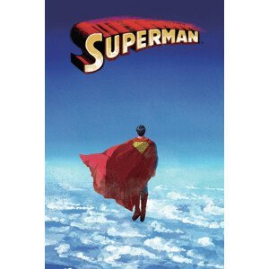 Umělecký tisk Superman - In The Skies, (26.7 x 40 cm)