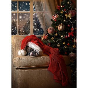 Umělecká fotografie Waiting for Santa, DDiArte, (30 x 40 cm)