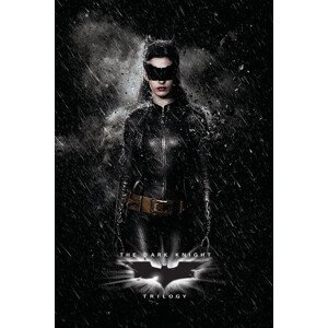 Umělecký tisk The Dark Knight Trilogy - Catwoman, (26.7 x 40 cm)