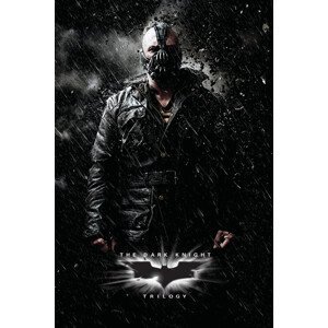 Umělecký tisk The Dark Knight Trilogy - Bane, (26.7 x 40 cm)