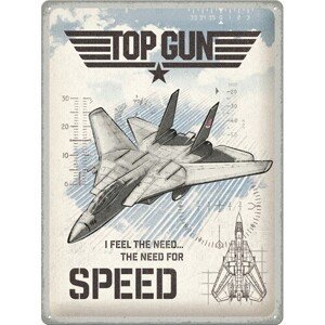 Plechová cedule Top Gun - The Need for Speed, (30 x 40 cm)