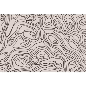 Ilustrace Iso Lines Square, Treechild, (40 x 26.7 cm)