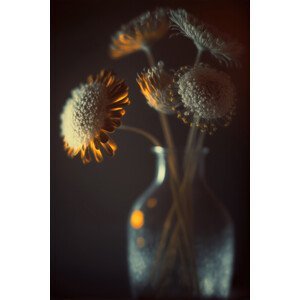 Umělecká fotografie Flowers In Low Light, Treechild, (26.7 x 40 cm)