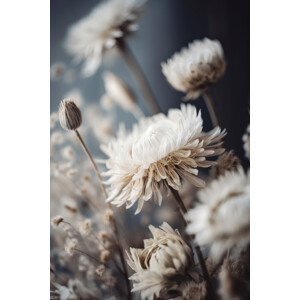 Umělecká fotografie Dry Pastel Flowers No 2, Treechild, (26.7 x 40 cm)