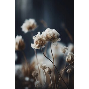 Umělecká fotografie Dry Pastel Flowers No 1, Treechild, (26.7 x 40 cm)