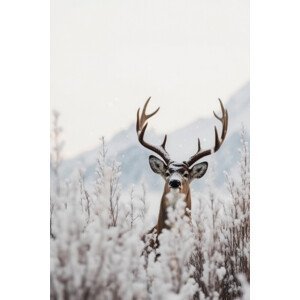 Umělecká fotografie Curious Deer, Treechild, (26.7 x 40 cm)
