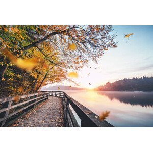 Umělecká fotografie Falling Autumn Leaves By The Lake, borchee, (40 x 26.7 cm)