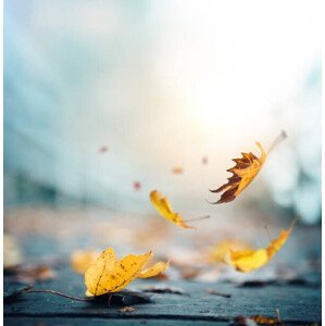 Umělecká fotografie It's time for autumn, borchee, (40 x 40 cm)