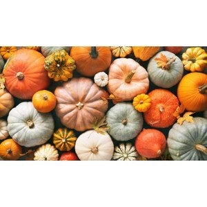 Umělecká fotografie Various fresh ripe pumpkins as background, AlexRaths, (40 x 22.5 cm)