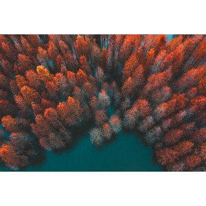 Umělecká fotografie Autumn trees and green lake, FanPro, (40 x 26.7 cm)