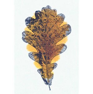 Ilustrace Blue Oak leave composition, herbarium, autumn bouquet, oxygen, (26.7 x 40 cm)