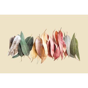 Ilustrace Creative layout made of green, gray, orange, red and purple leaves on beige background., Iryna Veklich, (40 x 26.7 cm)